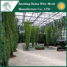 Wholesale stainless steel fence for climbing plant support